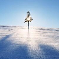 微信头像浪漫图片大全