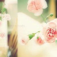 微信头像浪漫图片大全