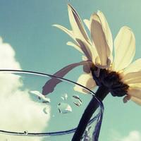 微信最浪漫的头像