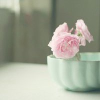 微信浪漫头像图片大全