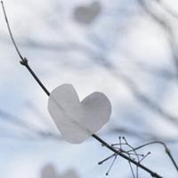 最浪漫的微信头像