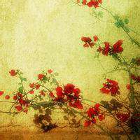 最浪漫的微信头像