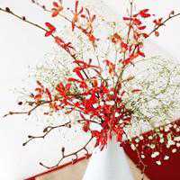 最浪漫的微信头像