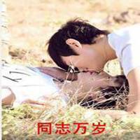 同性恋头像