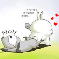 微信可爱兔子头像
