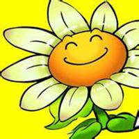 微信头像卡通向日葵