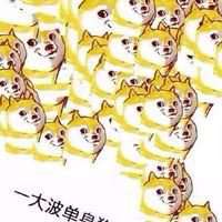 汪汪头像