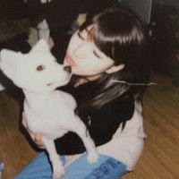 汪汪头像