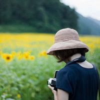 向日葵微信图片