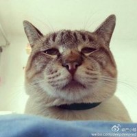 微信囧脸表情