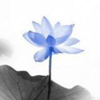 微信莲花头像图片下载
