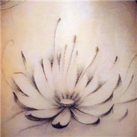 微信莲花头像图片下载