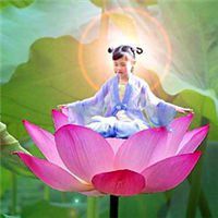 微信莲花头像图片下载