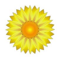 微信菊花图像大全