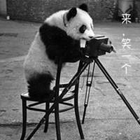 妞给爷笑一个微信图片