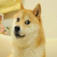 微信单身头像