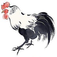 微信大公鸡头像