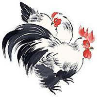 微信大公鸡头像