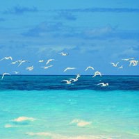 微信大海头像图片大全