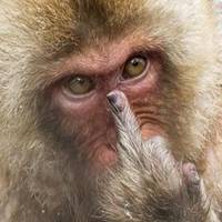 微信愤怒表情