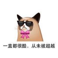 微信逗笑图片