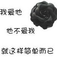 他不爱我