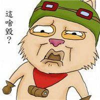 提莫微信头像