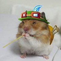 提莫微信头像