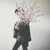 桃红色桃花微信头像