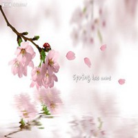 桃红色桃花微信头像