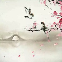 桃花美景图片大全