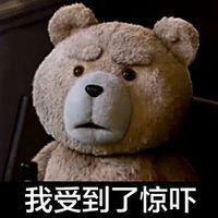 泰迪微信头像
