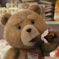 泰迪熊微信头像