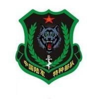 特种兵微信头像图片