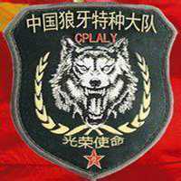 特种兵微信头像图片