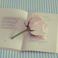 唯美小孩欧美小清新头像