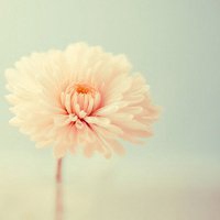 唯美小孩欧美小清新头像