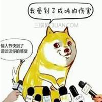 情人节搞笑微信图片