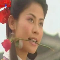 女士口咬玫瑰花微信头像