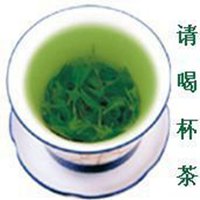 微信头像一杯绿茶