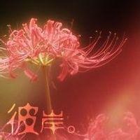 微信头像彼岸花+女生气质唯美