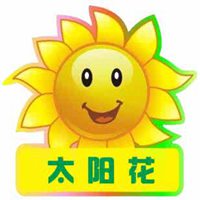 微信头像花朵太阳花