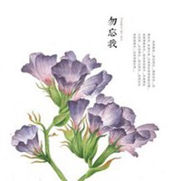 微信相册花草封面图片大全