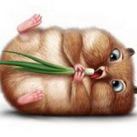 卡通老鼠图片