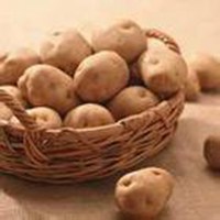 带可爱土豆图