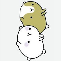 带可爱土豆图