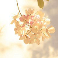 微信头像山水风瀑布
