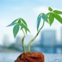 绿色的风景可以当微信头像的