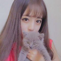 猫女简约头像