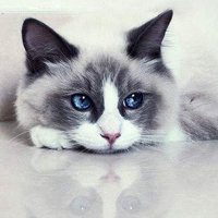 我谁都不想看